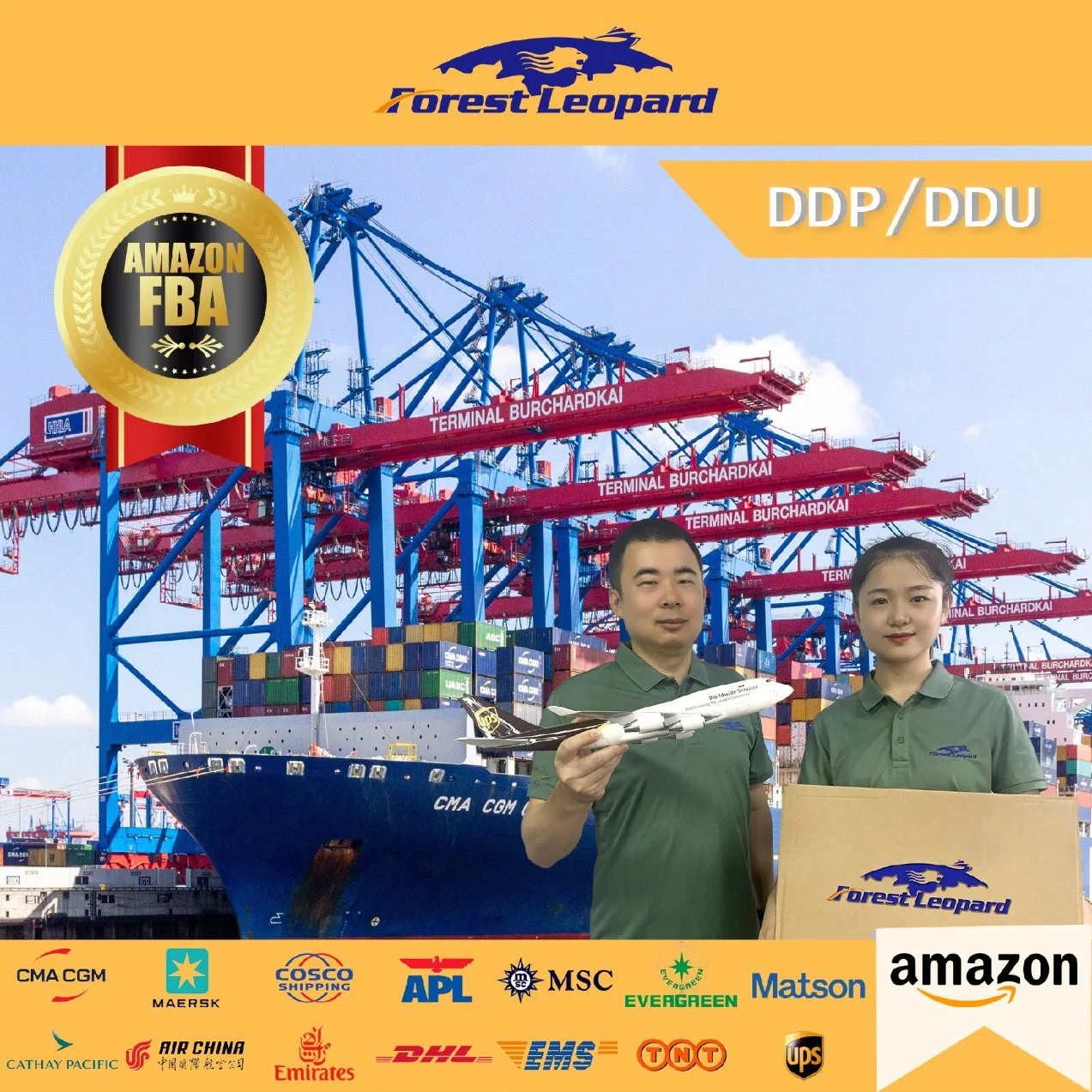 Top 10 Logistics Company DDP Puerta para hacer el envío marítimo De China a EE.UU. Profesional Transporte de carga de Mar EE.UU. Canadá Logística de Amazon 20days