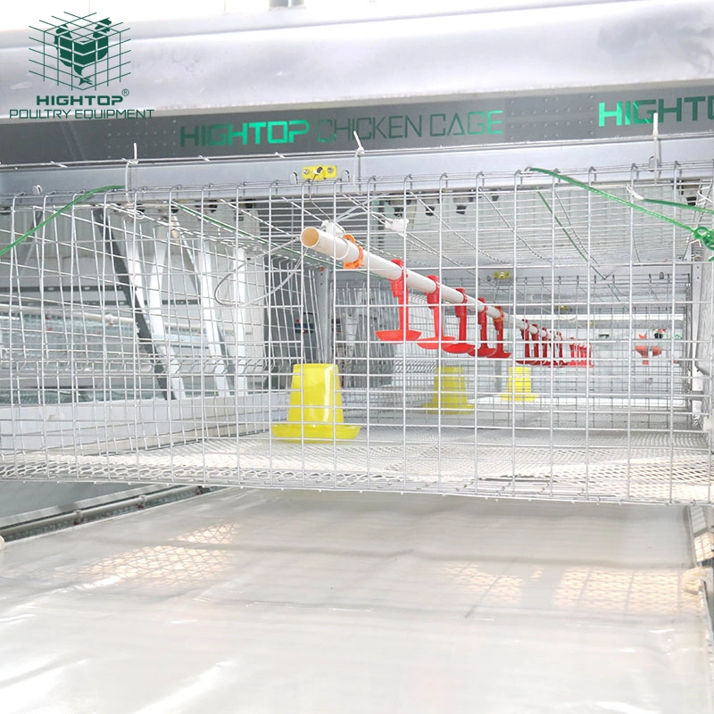 Full Set Poultry Farm Equipment Chicken Cage with Automatic Pan Feeding and Drinking System