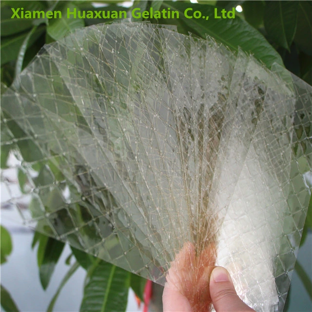 Bovine Fish Gelatin Leaf for Home Use