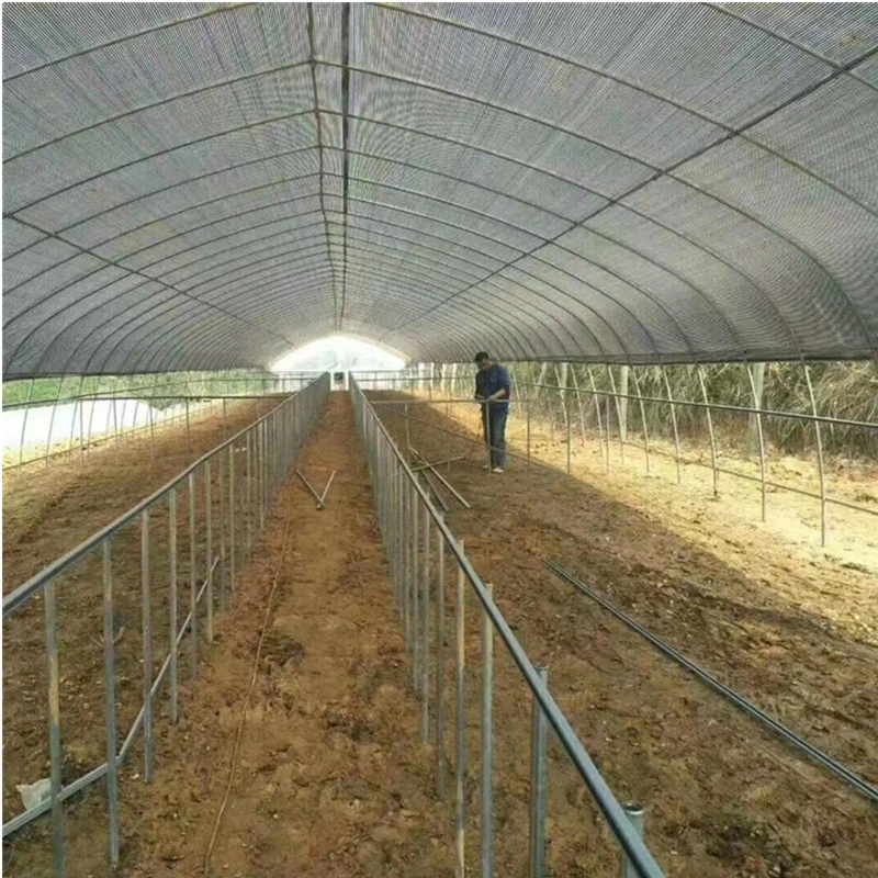 Flower and Vegetable Greenhouses with Single-Span Film