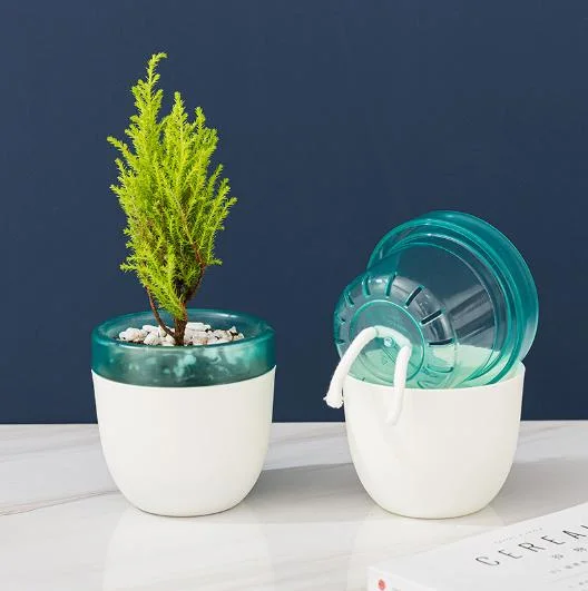 Lazy People Absorbent Potted Plants Vase