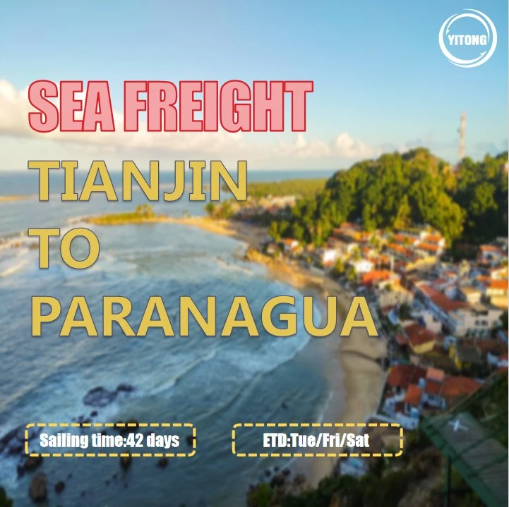 Ningbo Air Shipping Sea Freight to Paranagua Brazil