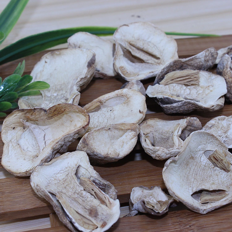 Cao Gu Factory Supply Natural Dried Volvariella Volvacea Dry Straw Mushroom