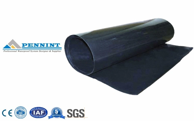 HDPE Geo-Membrane Liner Dam Earthwork Products