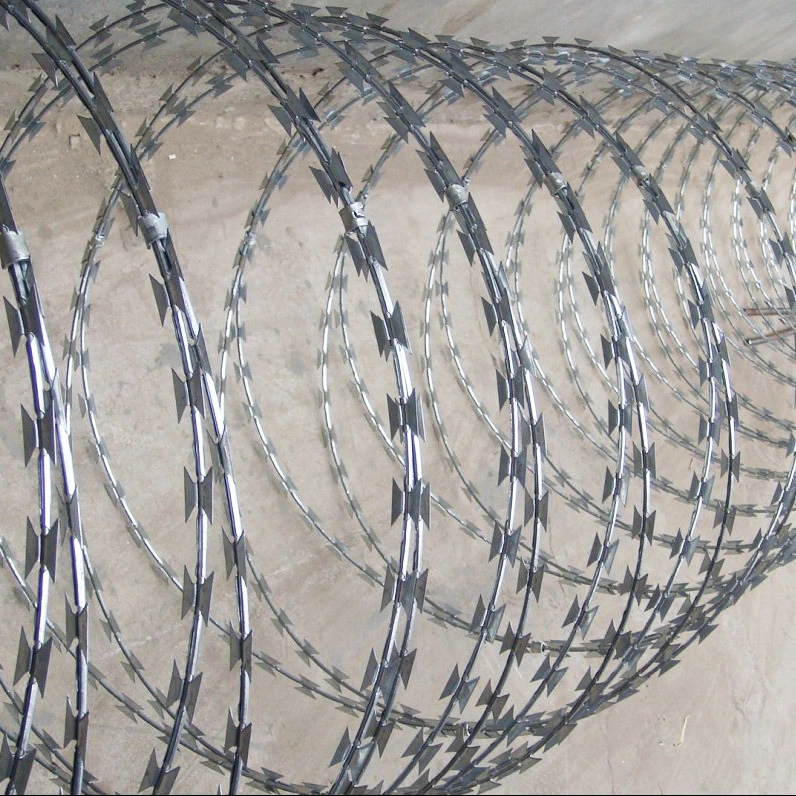 Razor Tape Concertina Wire for Stainless Steel or Galvanized Bto-22