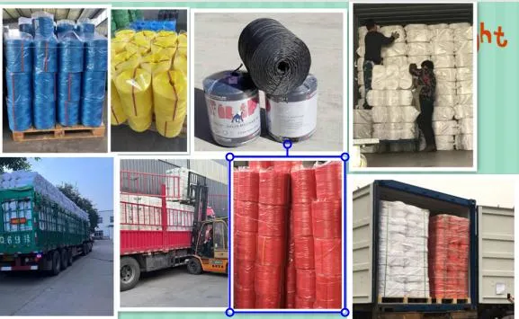 PP Polypropylene Twisted Hay Baler Twine Baling Twine Polypropylene Baler Twine/PP Twisted Hay Baler Twine/Hay Baling Twine