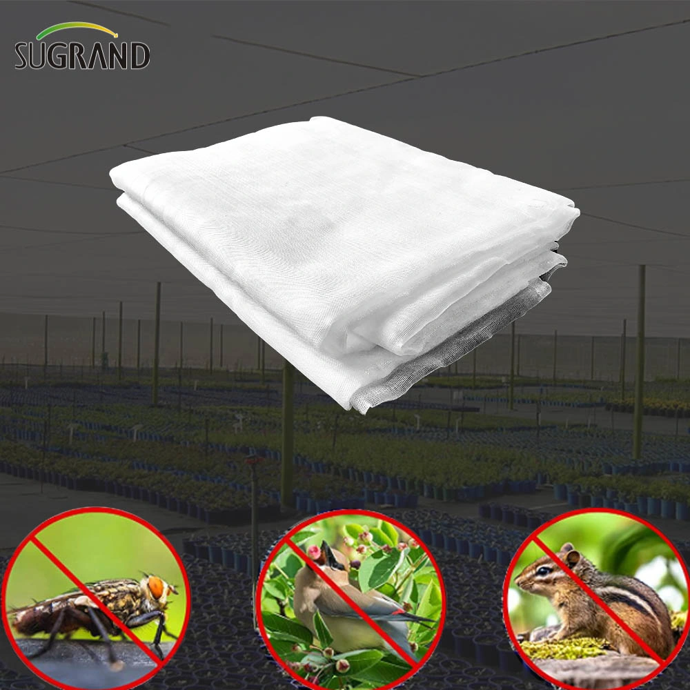 Retractable 100GSM Insect Net 40 Mesh in Vegetable Garden