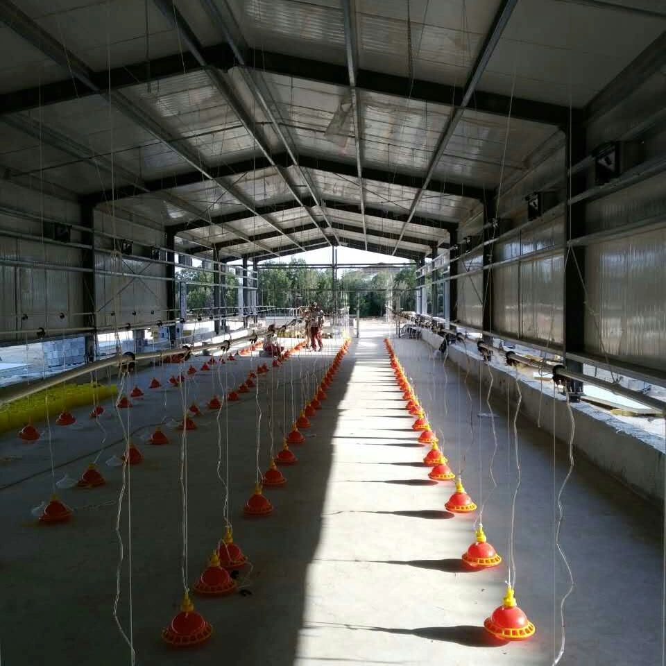 Prefabricated High Technical Easily Management Quality Chicken Farm