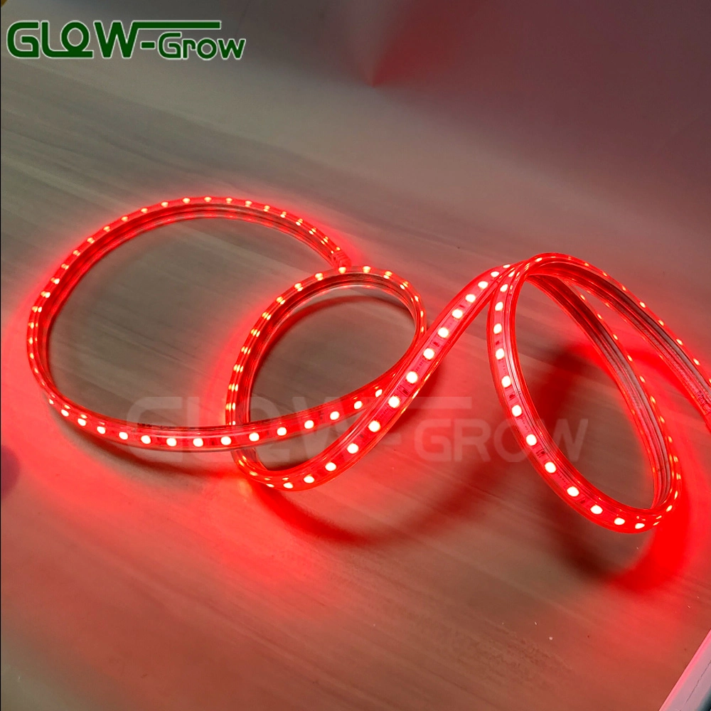 IP65 Flexible Color Changing High Voltage PVC Rope Light RGB LED Strip Light with IC Design

Lumière de corde en PVC haute tension flexible IP65 changeant de couleur avec bande LED RGB à design IC.