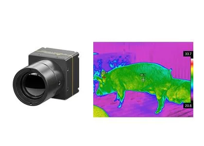 Long Wavelength LWIR Thermal Camera Core with 640x512 12um Infrared Detector