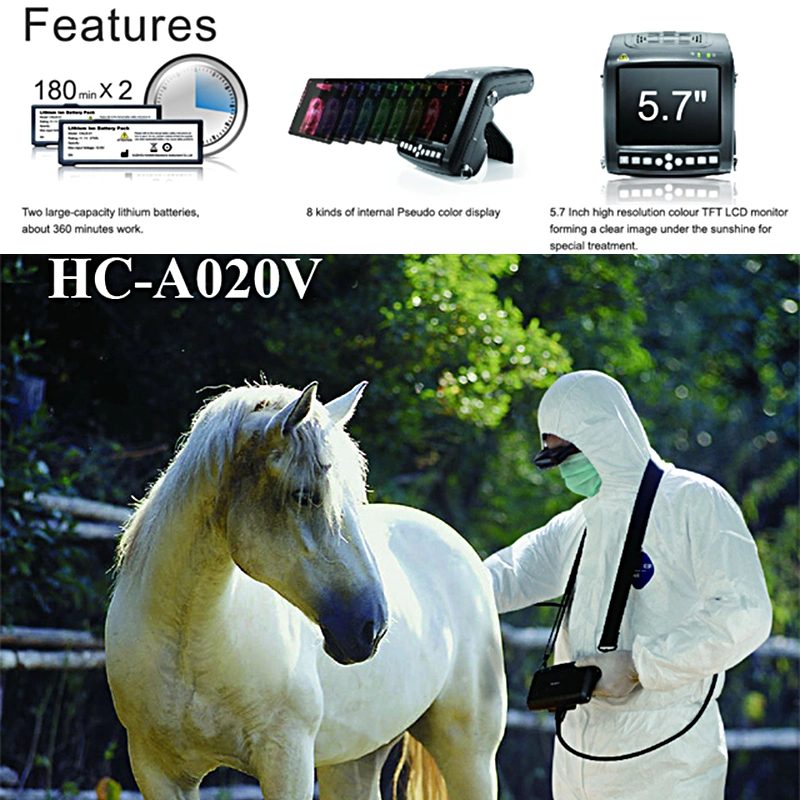 Hc-A020V Factory Price Full Digital Vet Ultrasound Veterinary Scanner for Animals