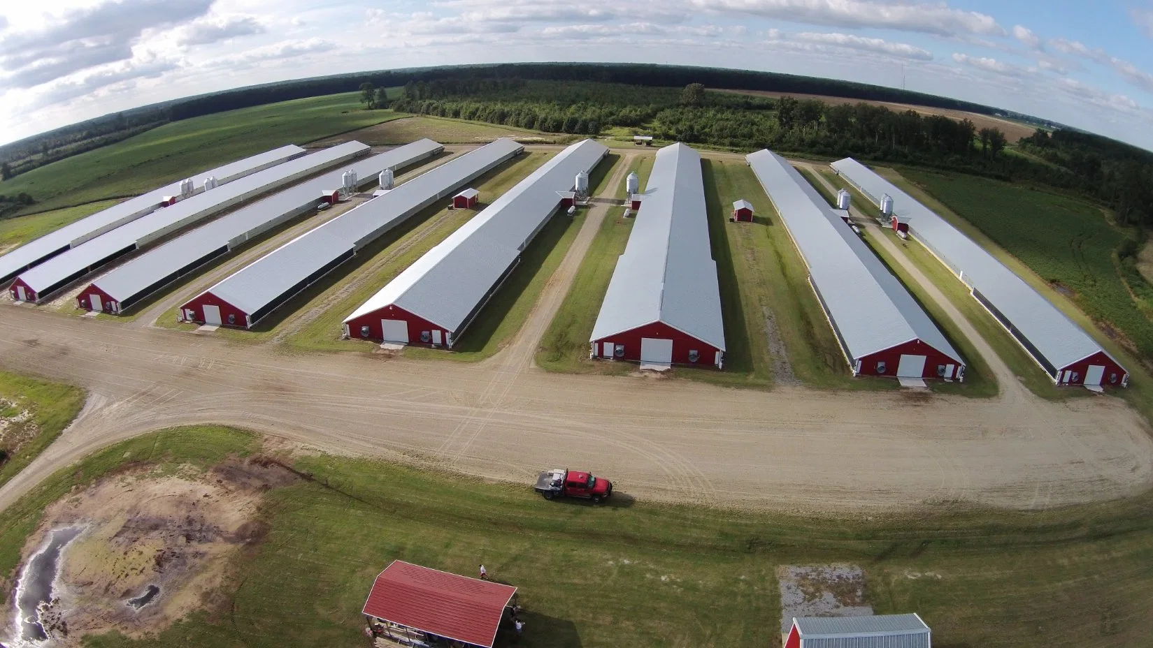 Single Steel Sheet Structure Farm Free Range Galvanized Chicken Poultry House