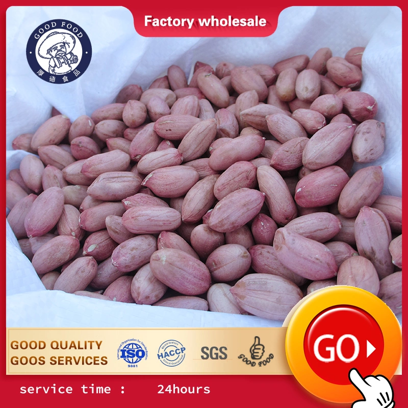 Customized Red Peanut, Blanched Peanut Kernels, Bold Peanuts Blanched Peanuts Raw Kernel Peanuts