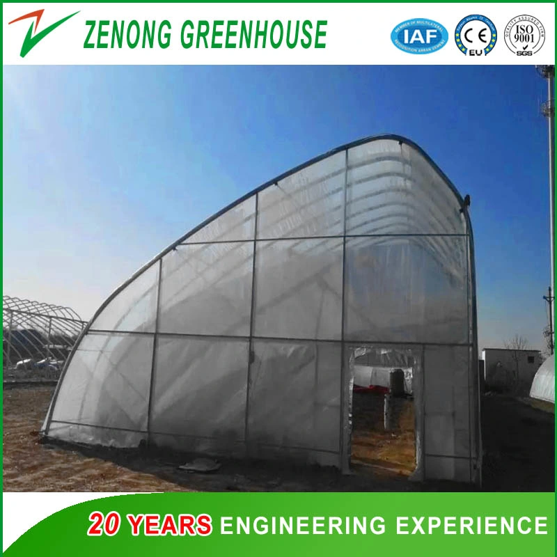 PO/PE/PP Film Covering Simple Solar Greenhouse for Planting Vegetables