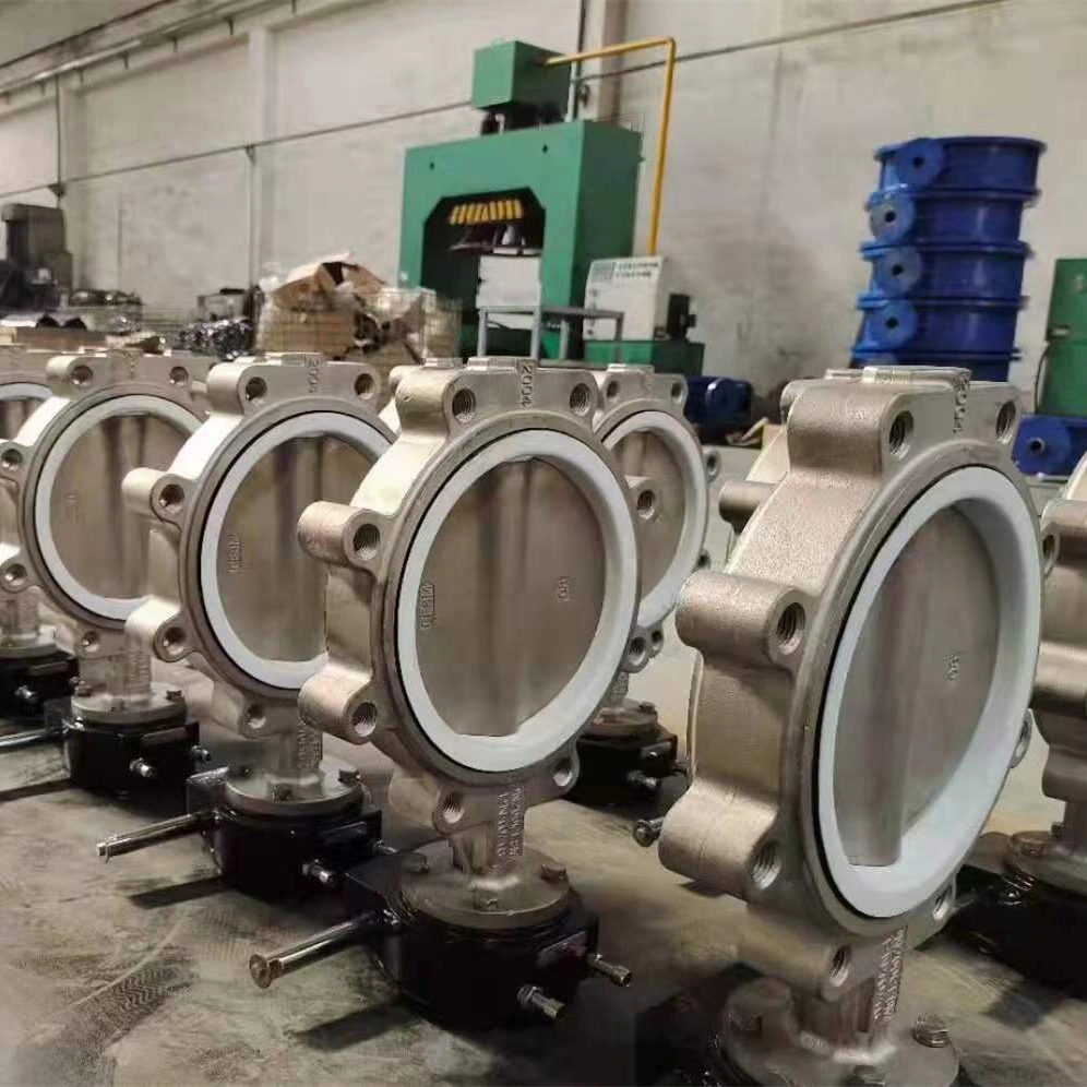 Hand Manual Pn10 Cast Iron Lug Type Manual Butterfly Valves