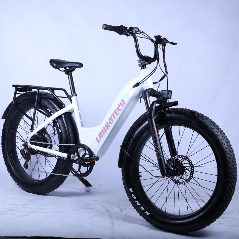 2021 New Design Step Through Fat Tire Electric Bike 5% Discount