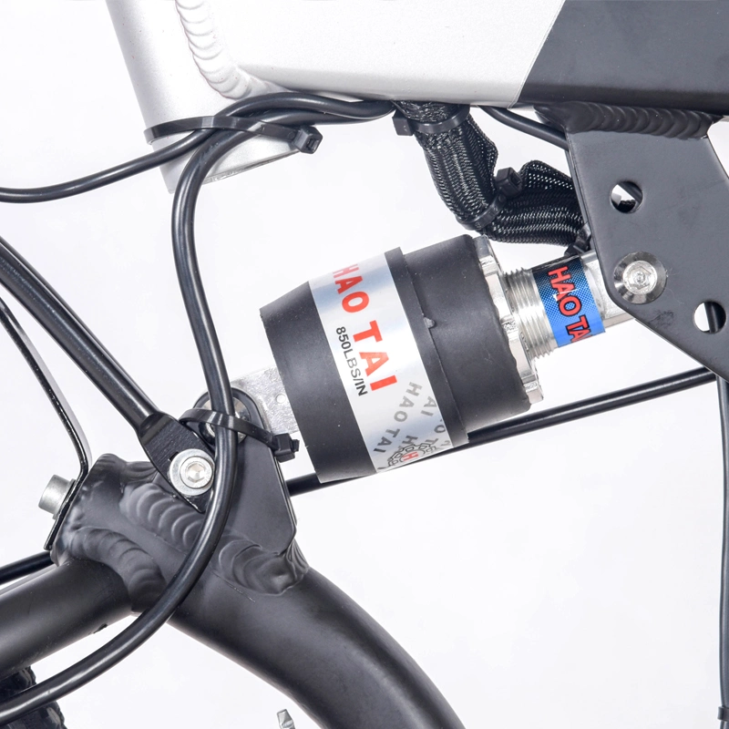 La Chine e pile au lithium de vélo vélo Vélo adulte électrique à haute vitesse pour momen