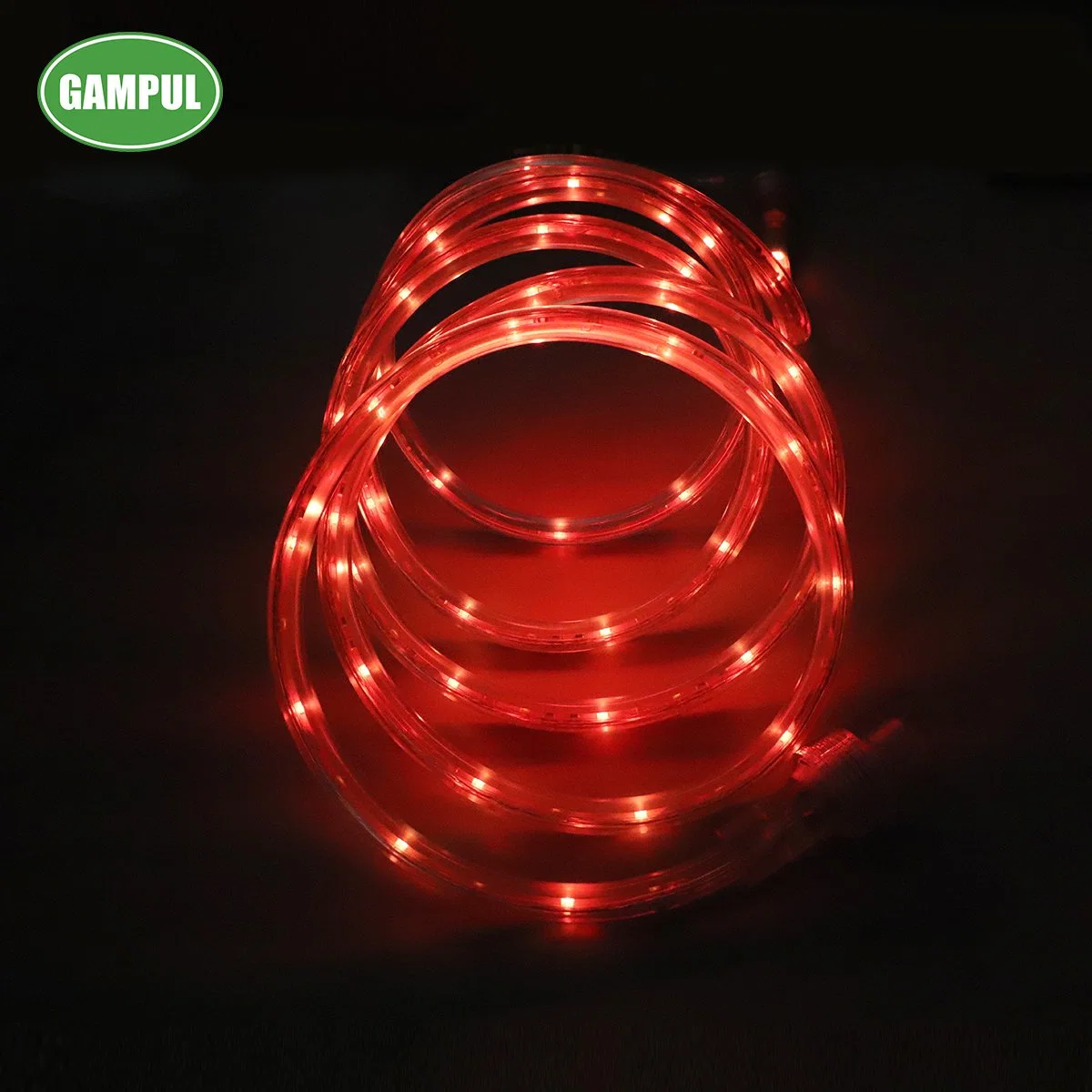 Chinese Supplier 7.3m Outdoor Red/Green/Blue RGB 3528 SMD RGB LED Christmas Outdoor Light / LED Rope Light / LED Decorative Flexible LED Strips Light