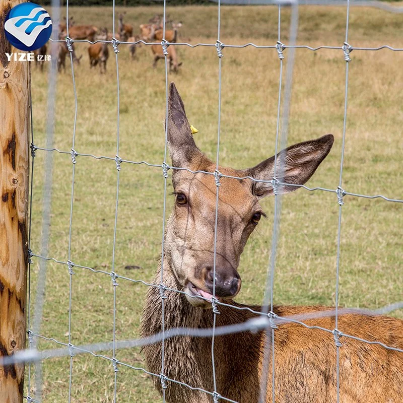 Hohe Zugspannung Verzinkter Draht Mesh Geflügel Vieh Schafe und Ziegen Bauernhof Zaun Gewofener Hirsch Bauernhof Zaun