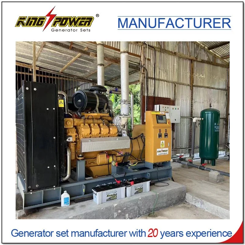 Continuous Power 350kw Container Type Natural Gas Biogas LNG Generator