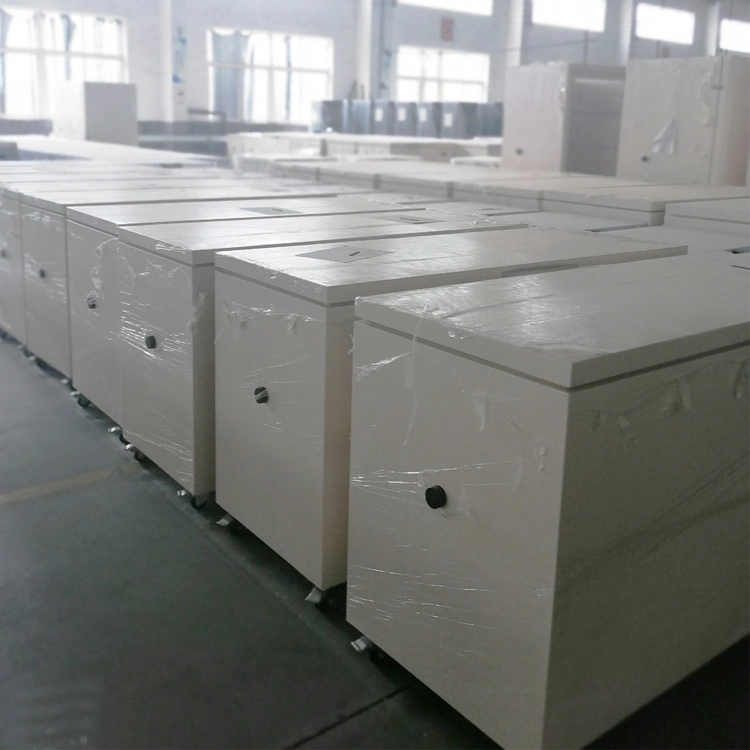 Roundfin Made in China 80 Freezer Ultra Low Temperature Low Temperature Freezer