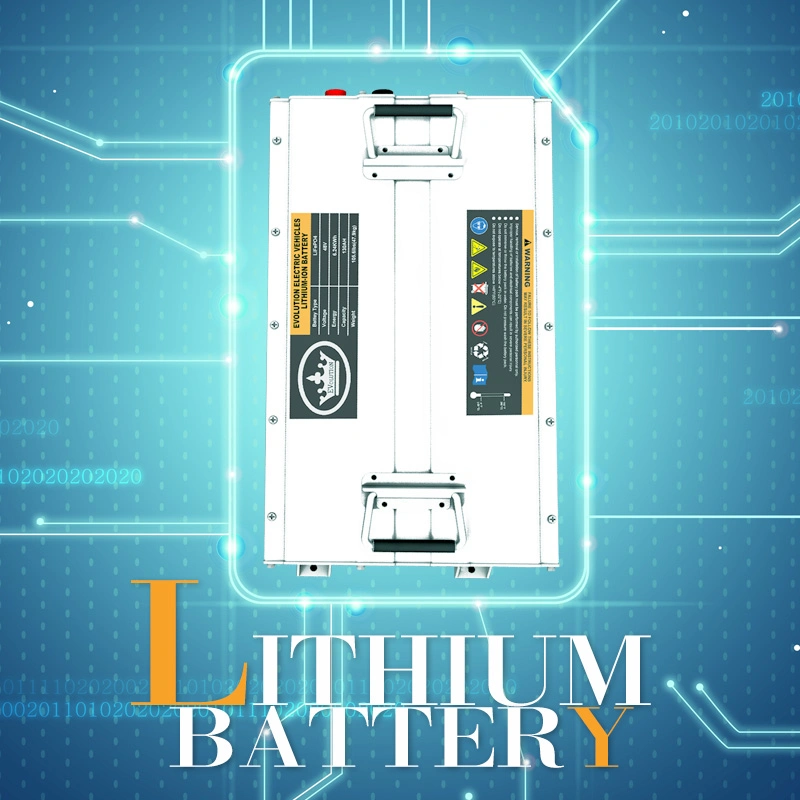 Lithium-Akku 48V 110Ah Li-Ion-Akkupack für Elektro Golfwagen