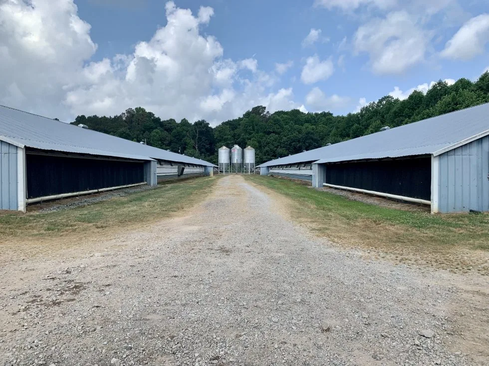 Galvanisé à chaud châssis en H ferme avicole pour le poulet/éleveur de poulets de chair/avec plein de l'équipement automatique