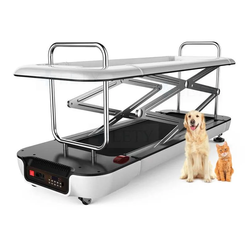 Animal Treadmill Pet Training Treadmill Dog Treadmill Pet Hydrotherapy Treadmill Dog Underwater Treadmill