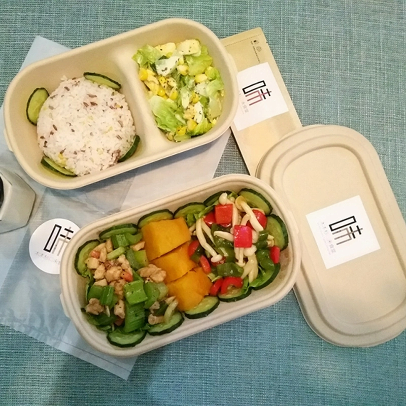Los envases de alimentos naturales biodegradables de bagazo de contenedores de alimentos de la bandeja de ensalada Oval con tapa