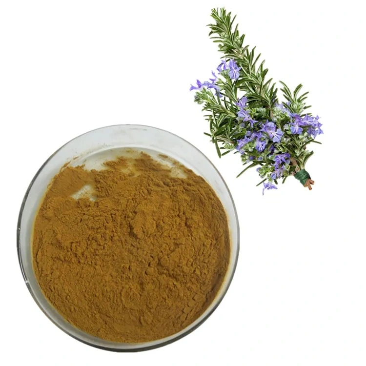 High quality/High cost performance Rosemary Leaf Extract Carnosic Acid/Rosmarinic Acid/Ursolic Acid