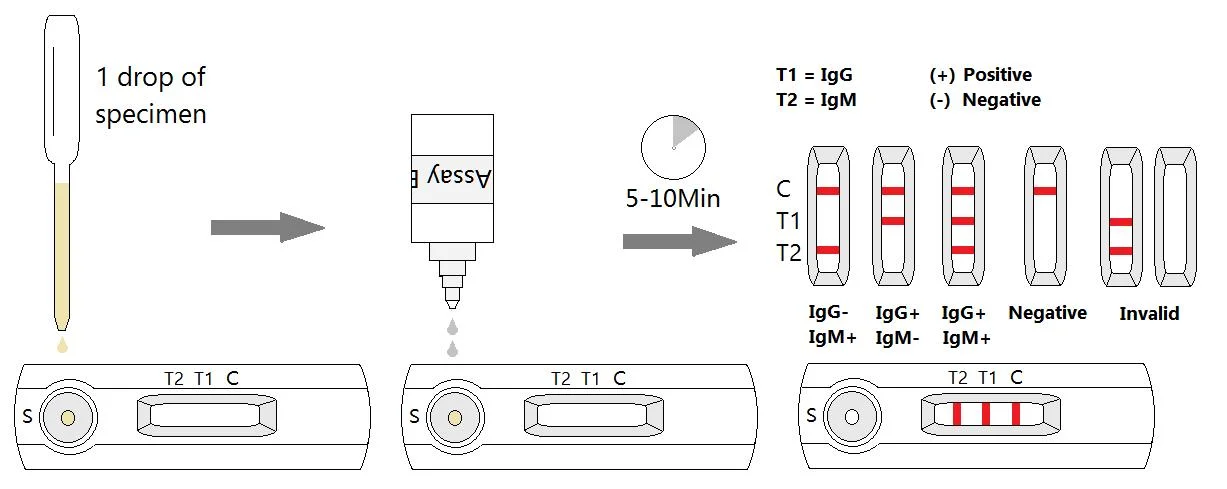 Toxoplasmosis in Cats Antibody Rapid Test Kit