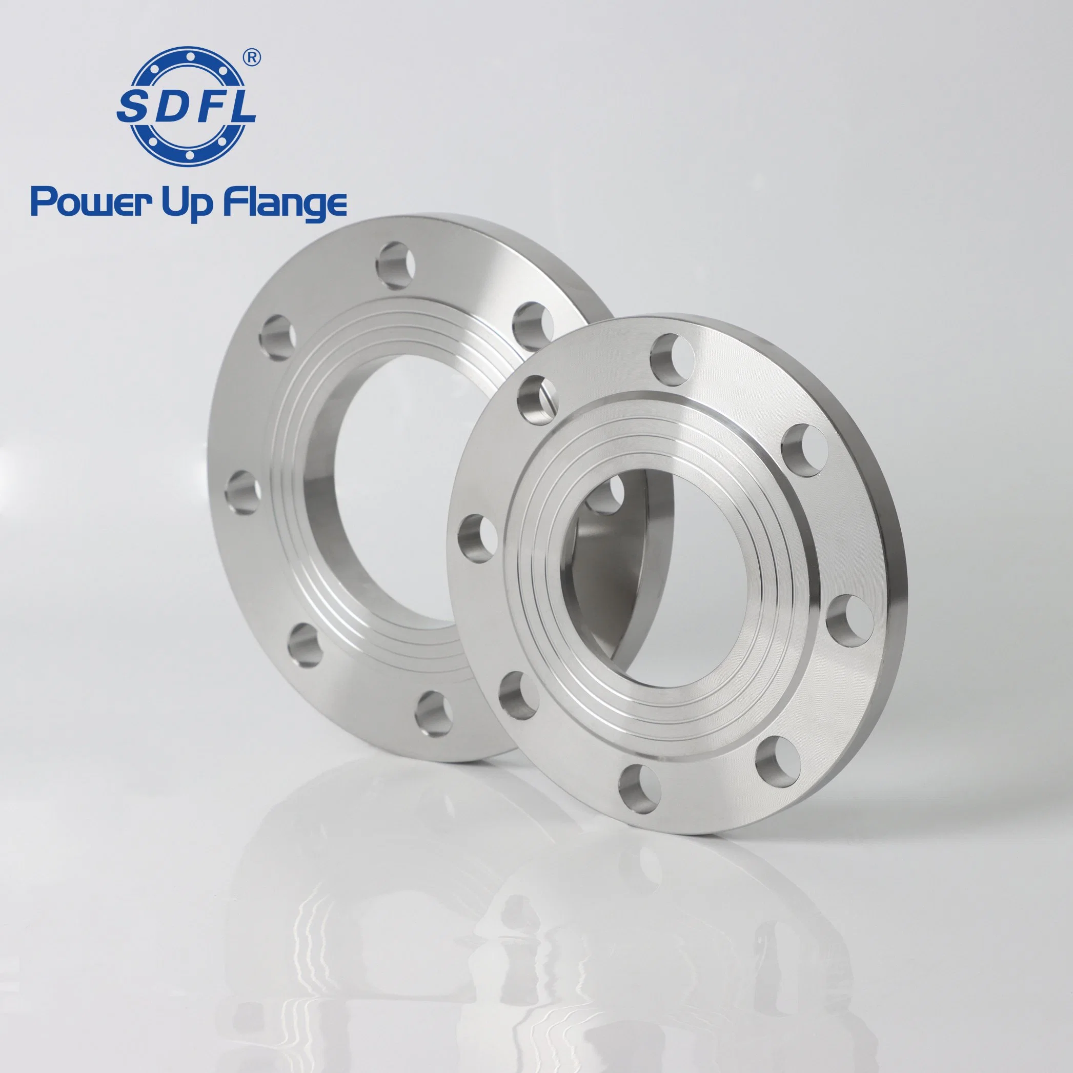 ASME B16.5 3inch 150b Forged 304 RF Stainless Steel Plate Flanges