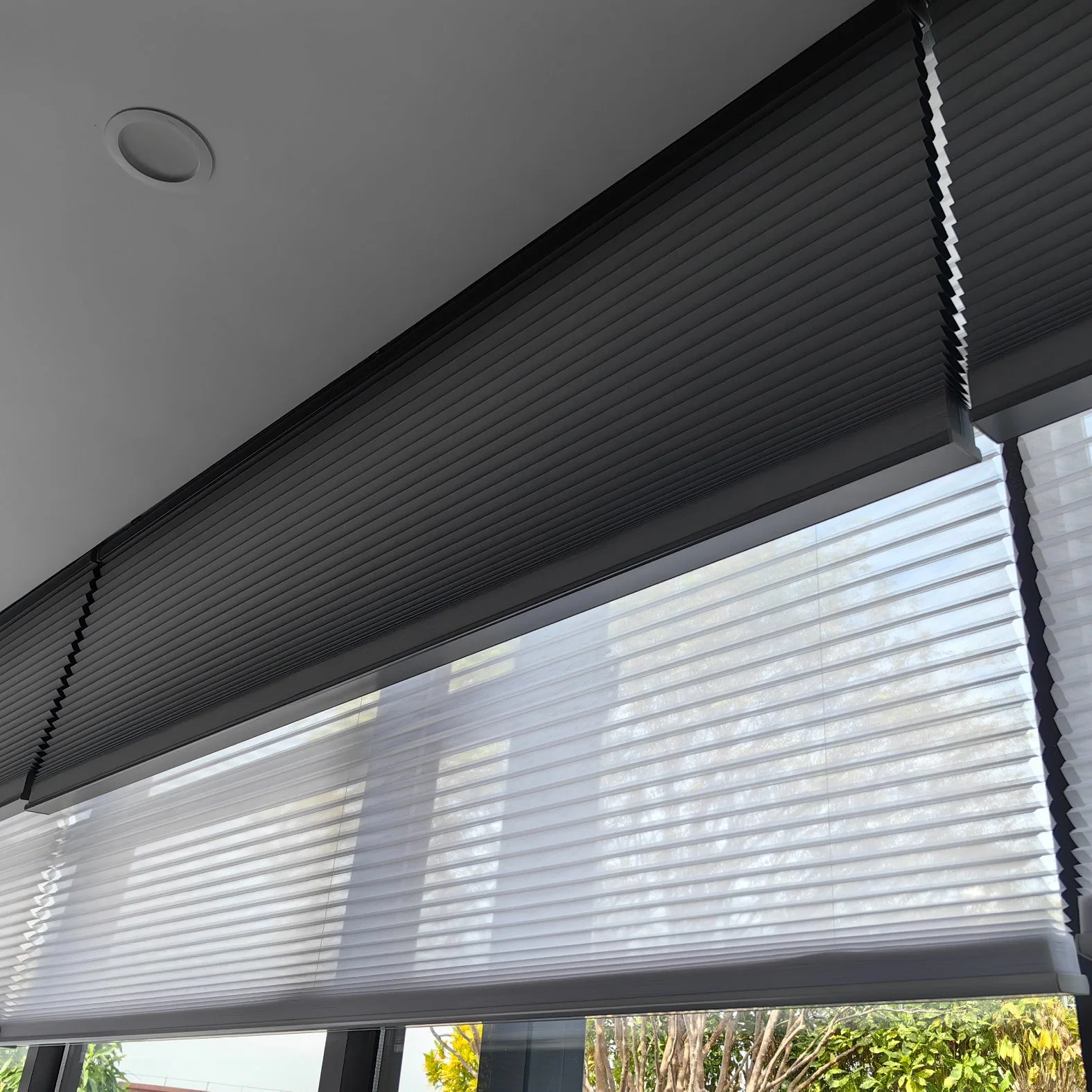 Noise-Reducing Honeycomb Blinds for a Calm and Peaceful Environment