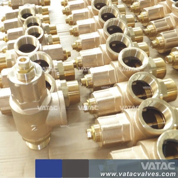 Bronze Thread/Screw Fnpt/Mnpt Spring Loaded Safety Valve