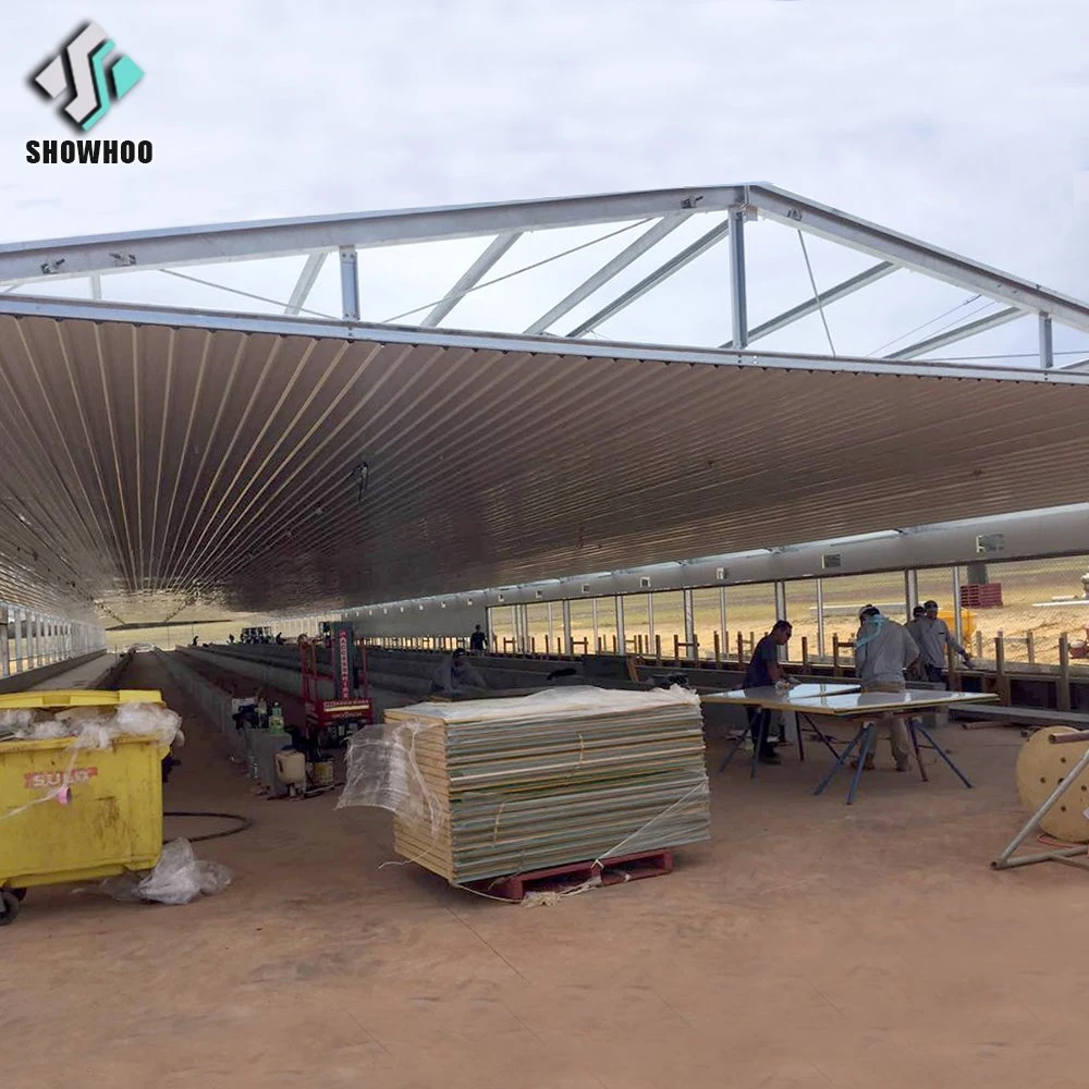 Casas de la cría de aves de corral pollo galpón Estructura de acero para incubar