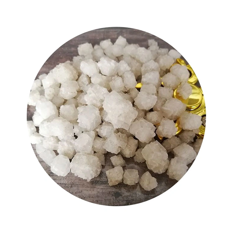 Reasonable Price Sea Salt Large Coarse Food Grade Certified Granular Salt Used for Cooking