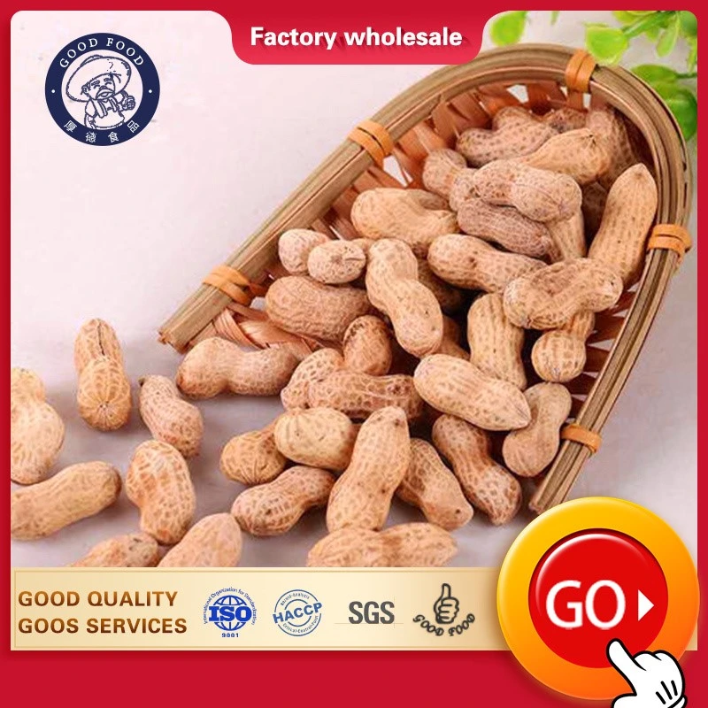 Wholesale/Supplier New Crop Salted Taste Roasted Peanut in Shell Healthy Delicous Salted