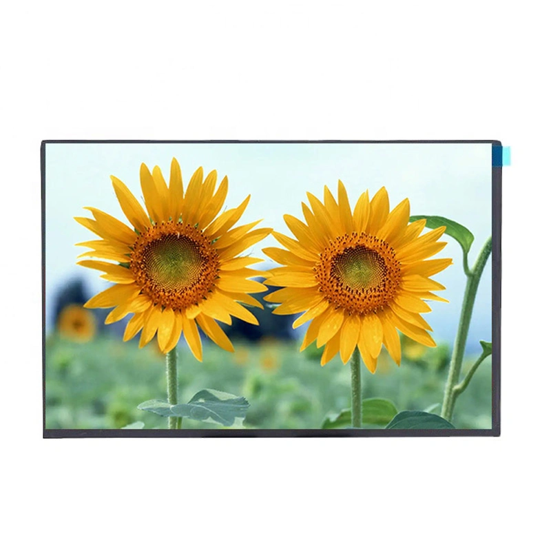 10.1 Inch Display Brightness Capacitive Touch Panel Screen Resolution 1920*1080 TFT LED TV Spare Parts 2K Resolution for Handheld Medical Device LCD Module