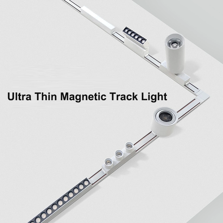 Surface Mounted Downlight Anti-Glare Lighting Fixture 48V Magnetic LED Spot Track Light