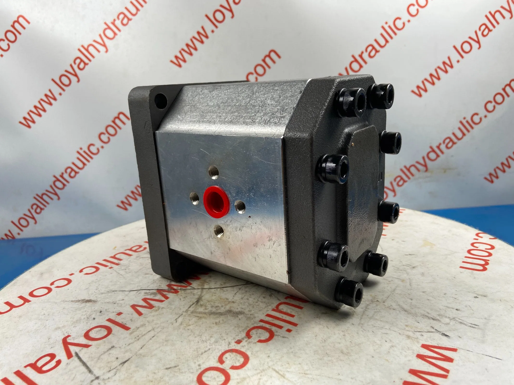 L-Caproni Hydraulic Gear Pump 20c19/20c22/20c25/20c28/20c32/20c36 for Forklift, Crawler Excavator, Agricultural Machinery, Tractor Spare Parts