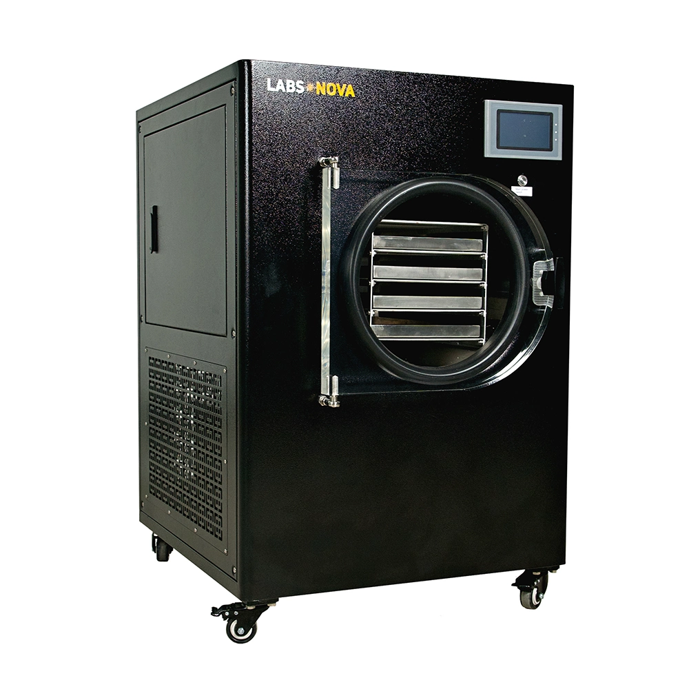 Freeze Dryer Manufacturers Small Mini Liofilizer Vacuum Freeze Dryer