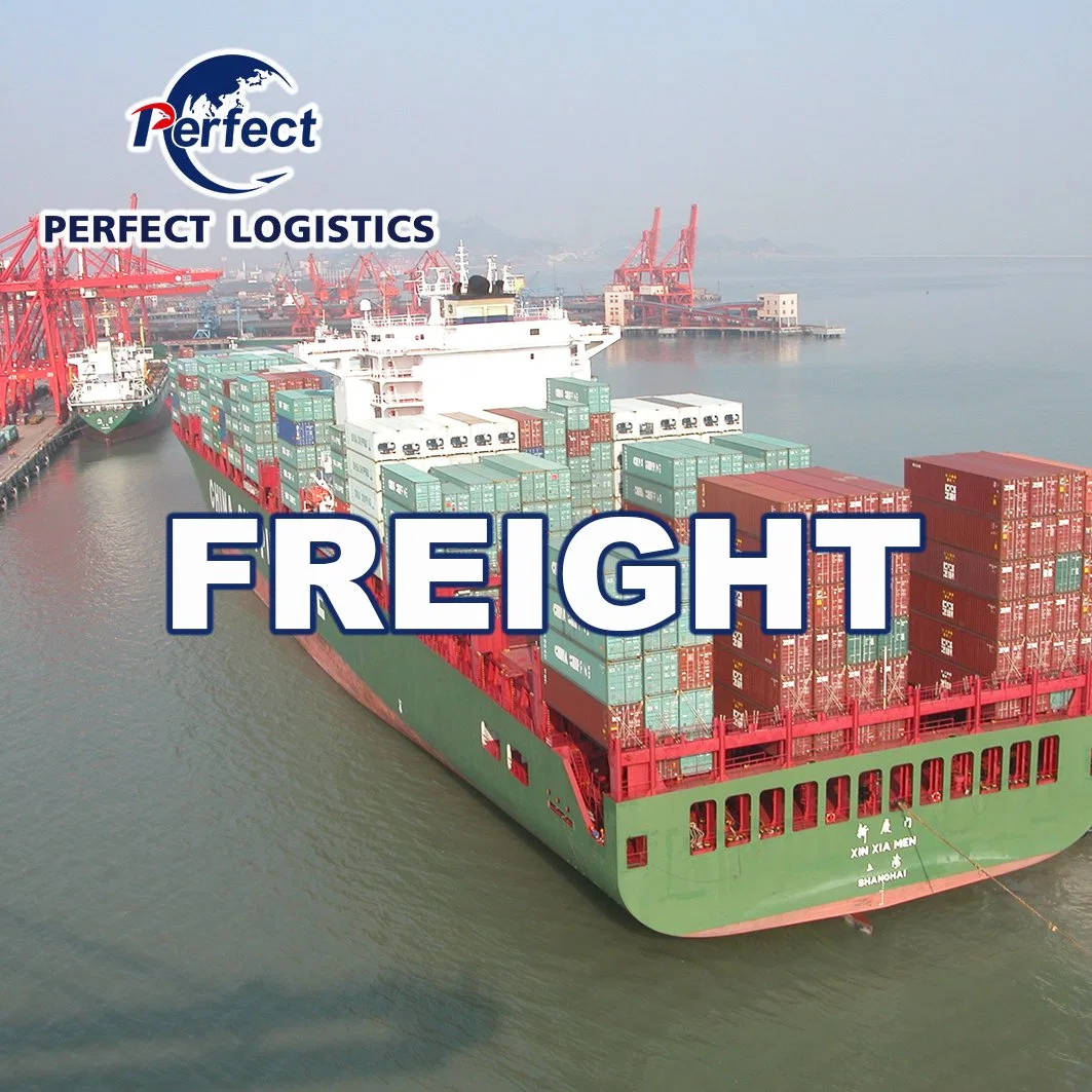 Professional Sea Forwarder Shipping Agent Freight Cost Rates China to Dubai UAE Saudi Arabia