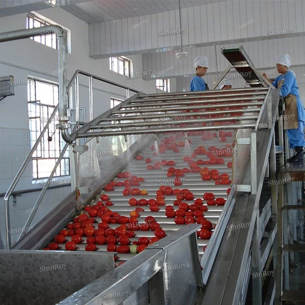 Tomate em Pasta em Tambor Brix 28-30%CB de Alta Qualidade