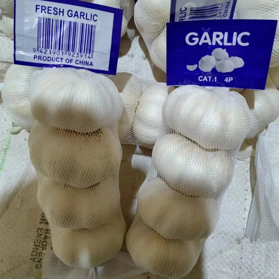 Fresh Pure White Garlic /Normal White Garlic/White Garlic with SGS Certificate