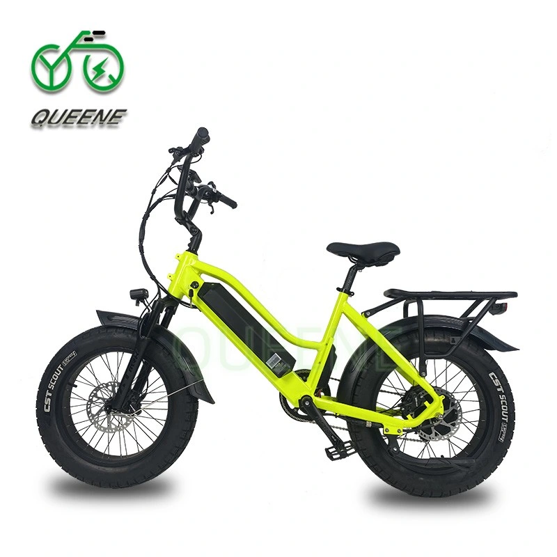Queene/52V 750W 1000W Power China Cheap Full Suspension Retro Vintage E Bike Ebike Dirt Mountain Fat Tire Bicycle Electric Bike