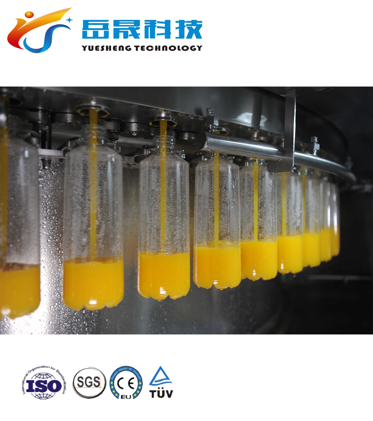 Ushine Full Automatic 3 in 1 Pet Pure Liquid Bottle Water Making Washing Filling Capping Machinery Price