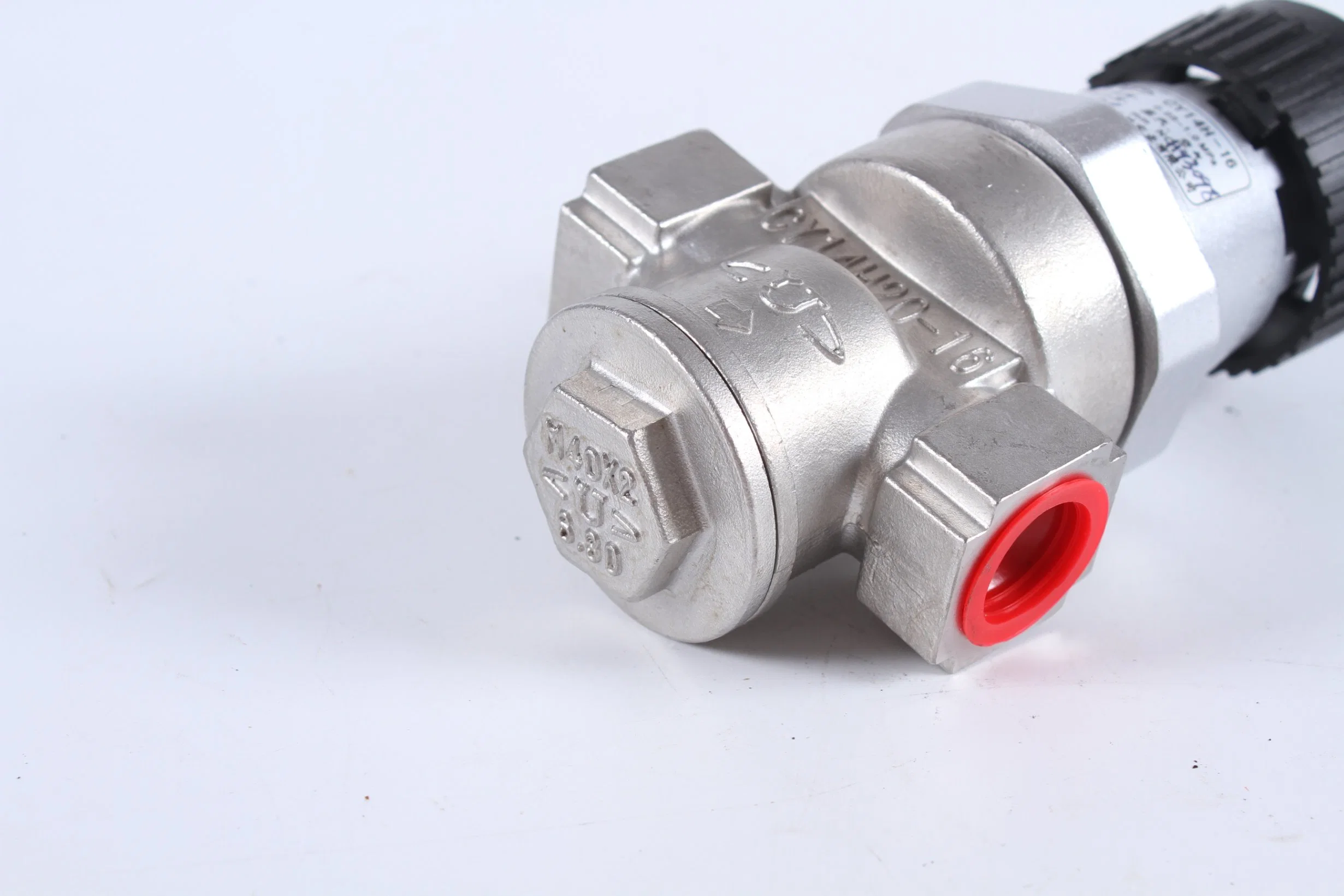 Steam Pressure Regulator with Stainless Steel Body