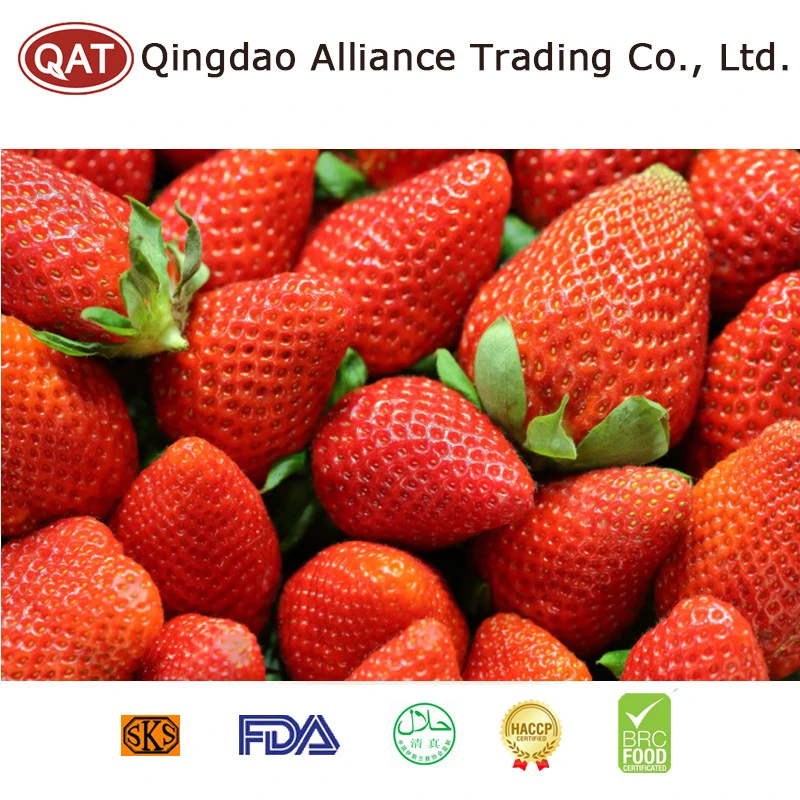 New Crop High quality/High cost performance  IQF Mixedberry with Competitive Price