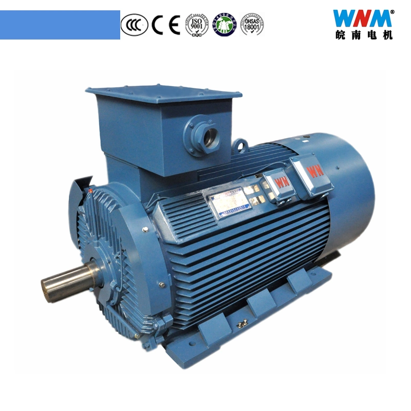 Ylv Low Voltage Large Power 185~800kw Three Phase AC Induction Electric Crusher Motor Base Cast Iron with Foot H400~450mm Ylv400-3-2 450kw 2980rpm