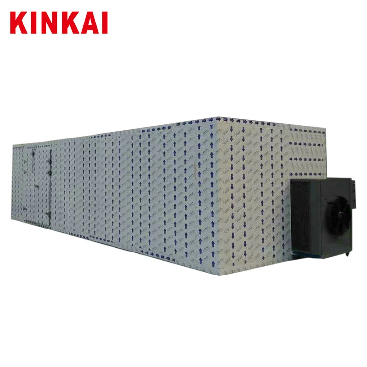 Hot Air Drying Oven for Plum, Fruits Dehydrating Oven